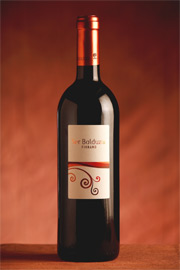Ser Balduzio