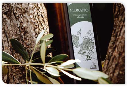 Immagine olio