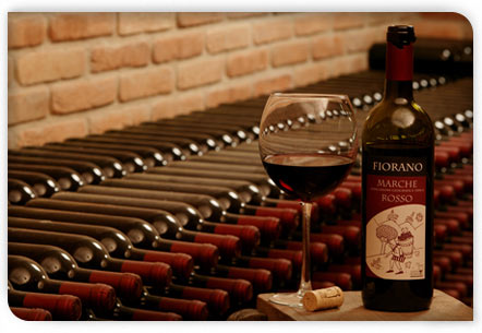Immagine vini