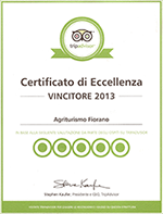 Trip Advisor